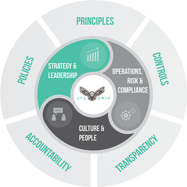 3YS Owls Corporate Governance Framework