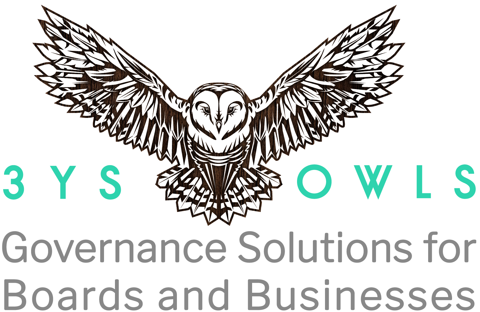 3YS Owls Corporate Governance Company Secretary